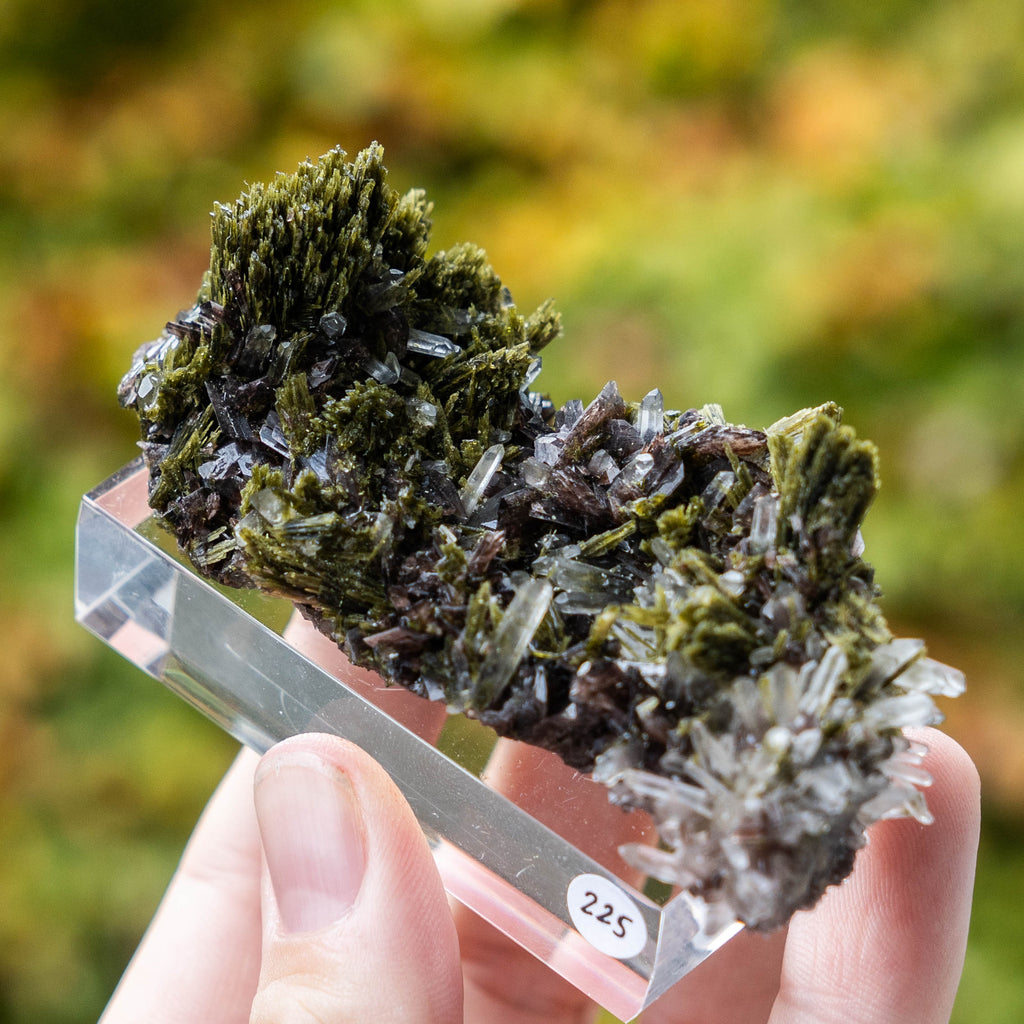 axiniet kwarts epidoot peru