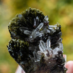 axiniet kwarts epidoot peru