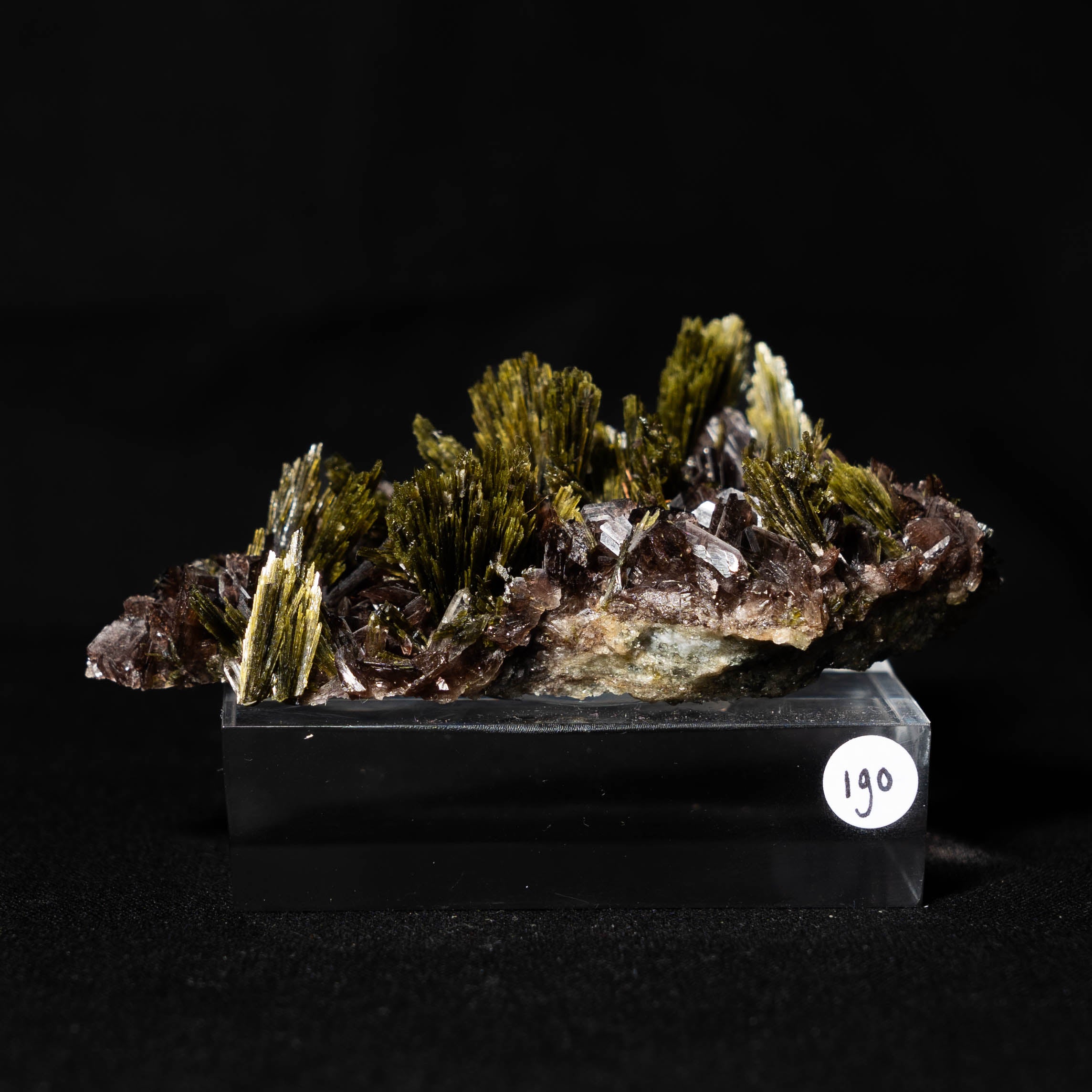 axiniet kwarts epidoot peru