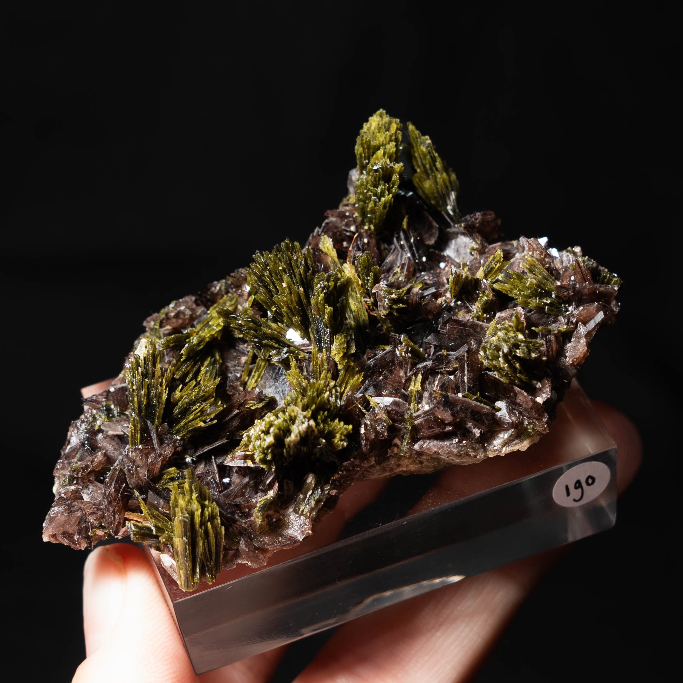 axiniet kwarts epidoot peru