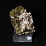 axiniet kwarts epidoot peru