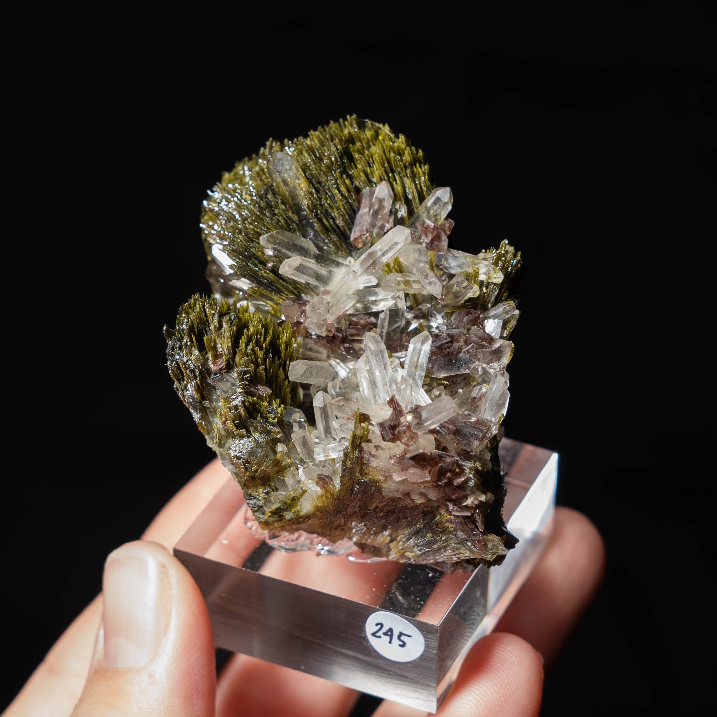 axiniet kwarts epidoot peru