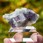 fluoriet anhui china