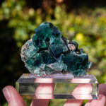 fluoriet weardale uk pocket 42