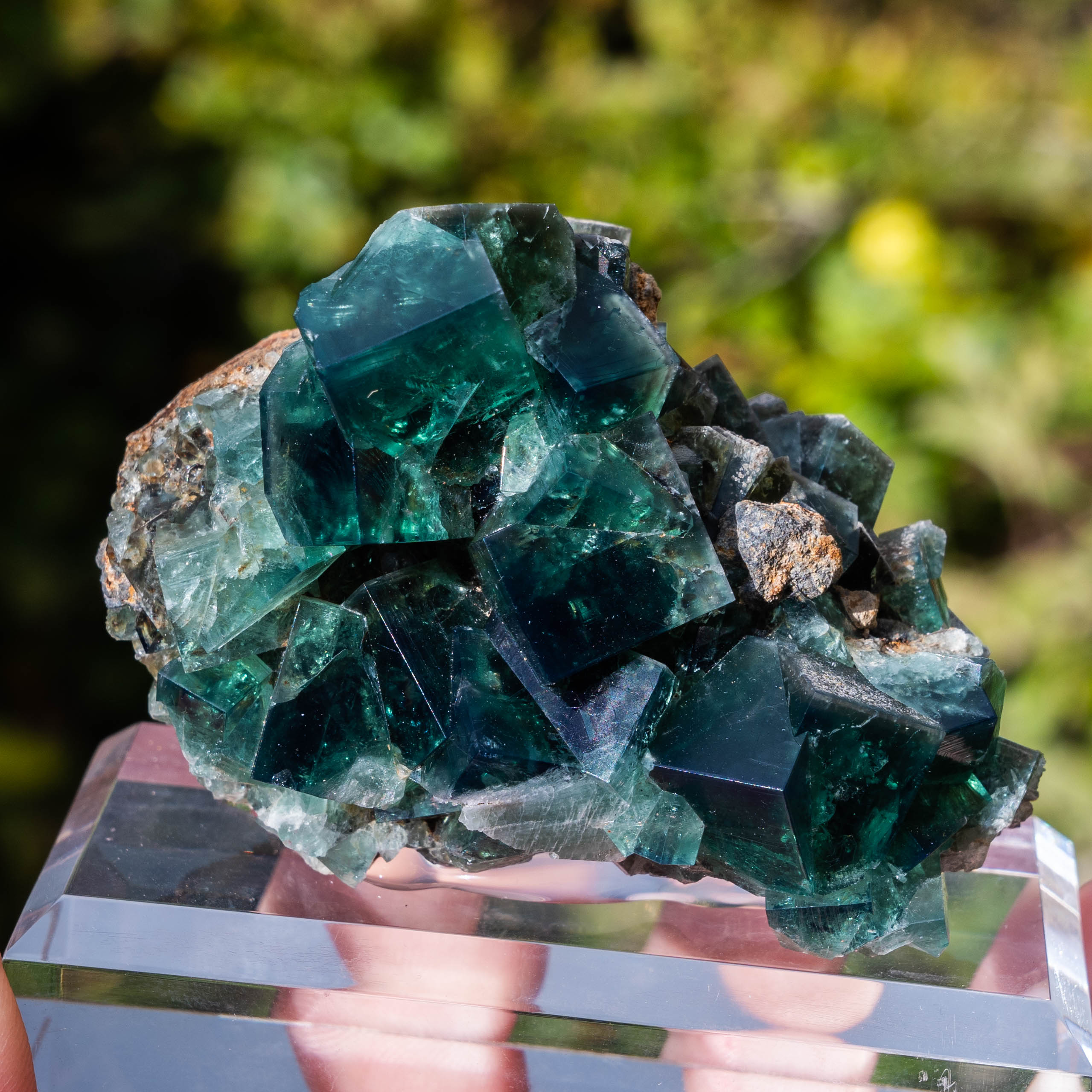 fluoriet weardale uk pocket 42