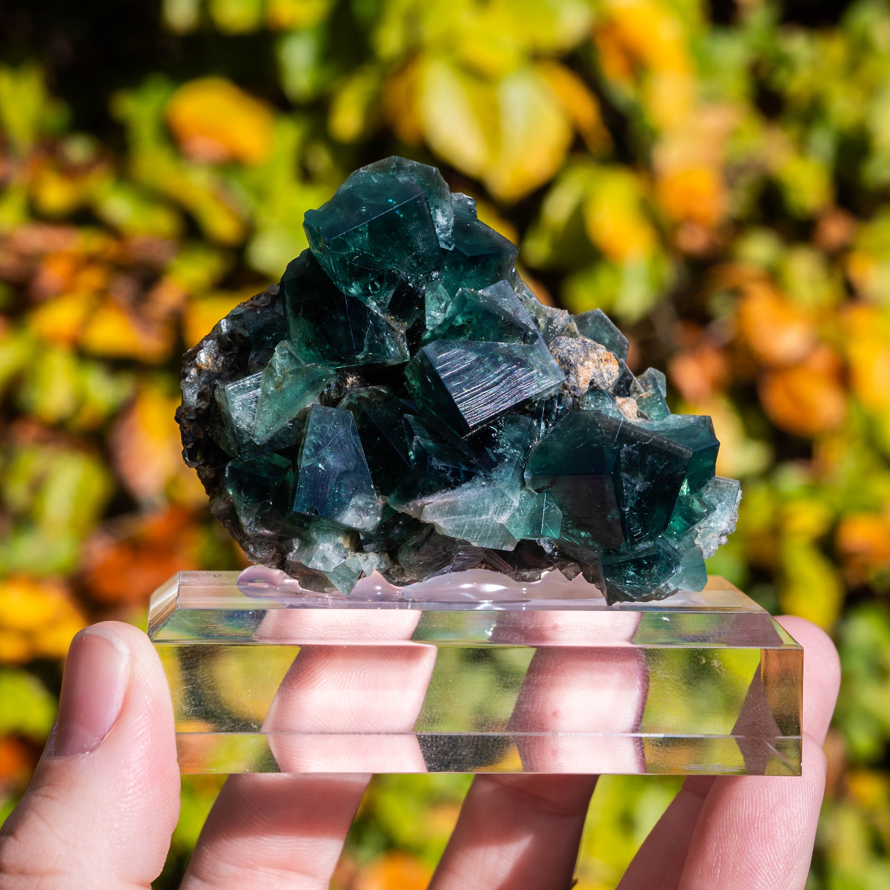 fluoriet weardale uk pocket 42