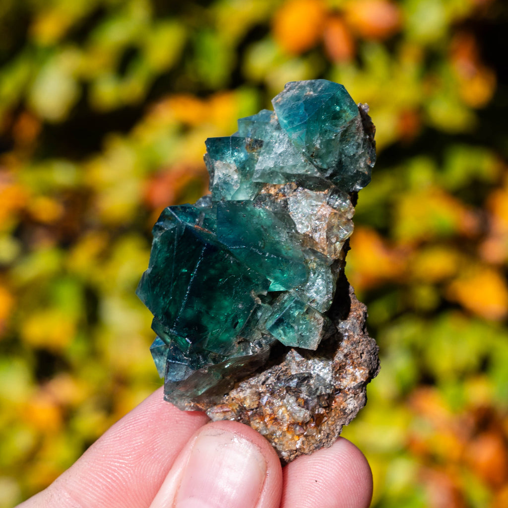 fluoriet weardale pocket42