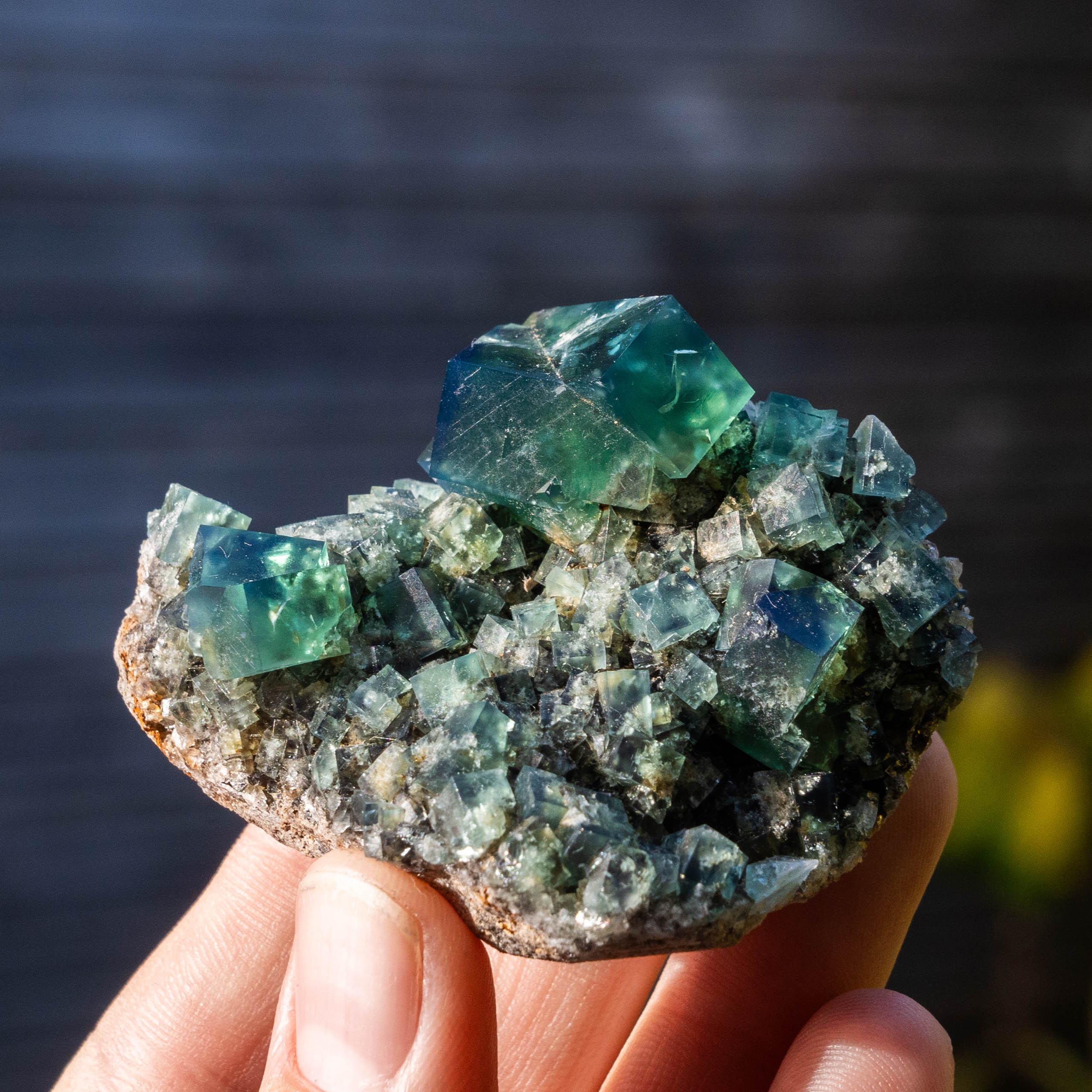 fluoriet diana maria pocket42