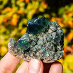 fluoriet diana maria pocket42