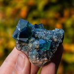 fluoriet diana maria pocket42