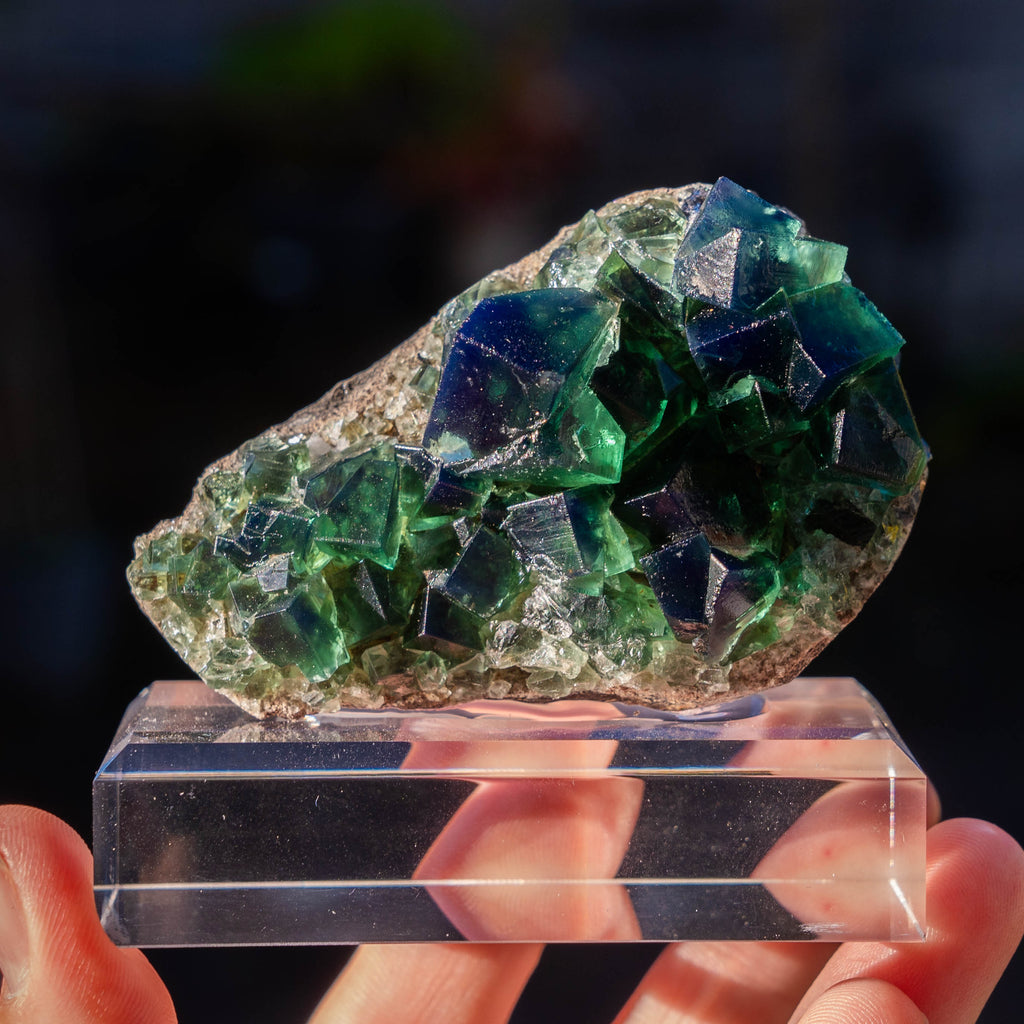 fluoriet pocket42 weardale