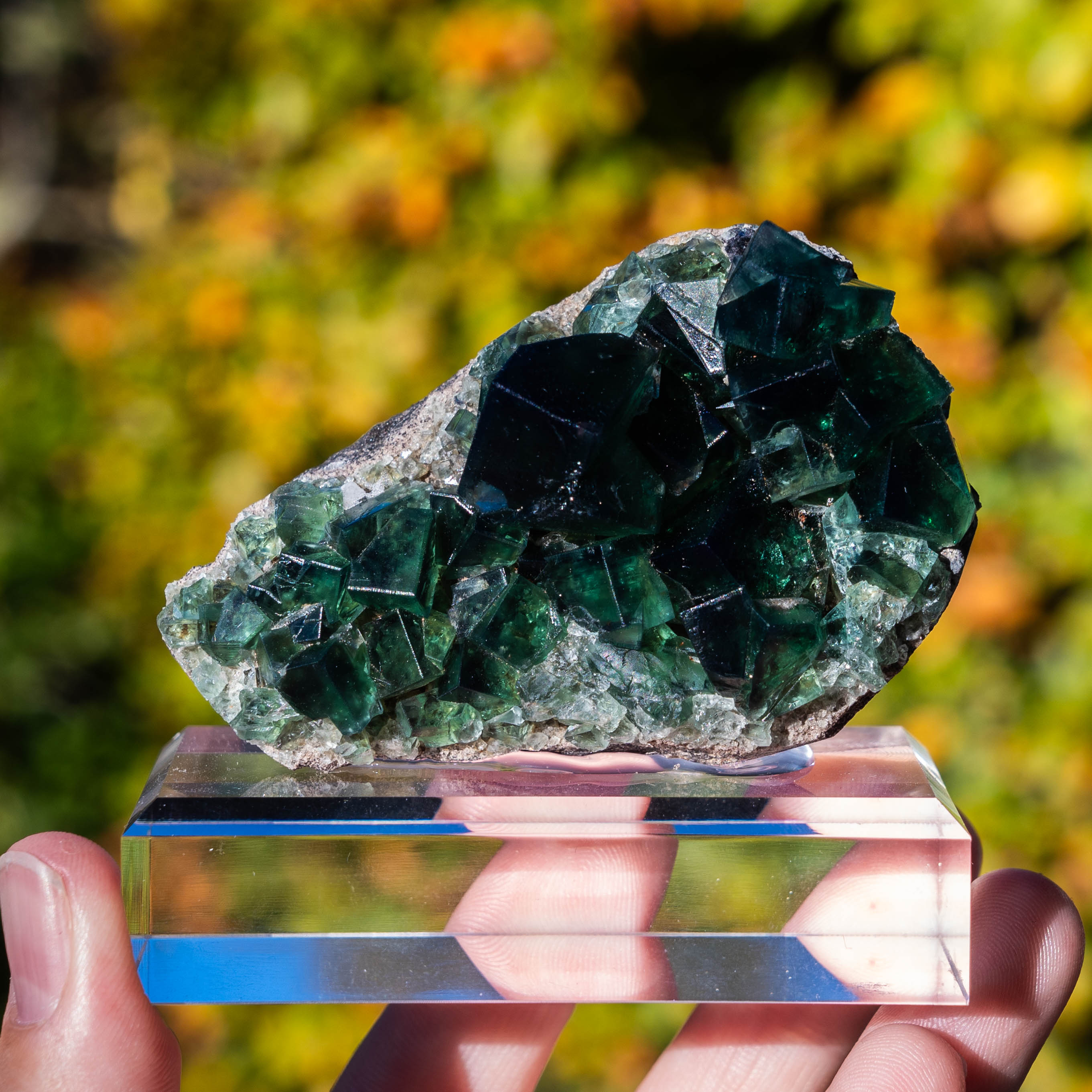 fluoriet pocket42 weardale