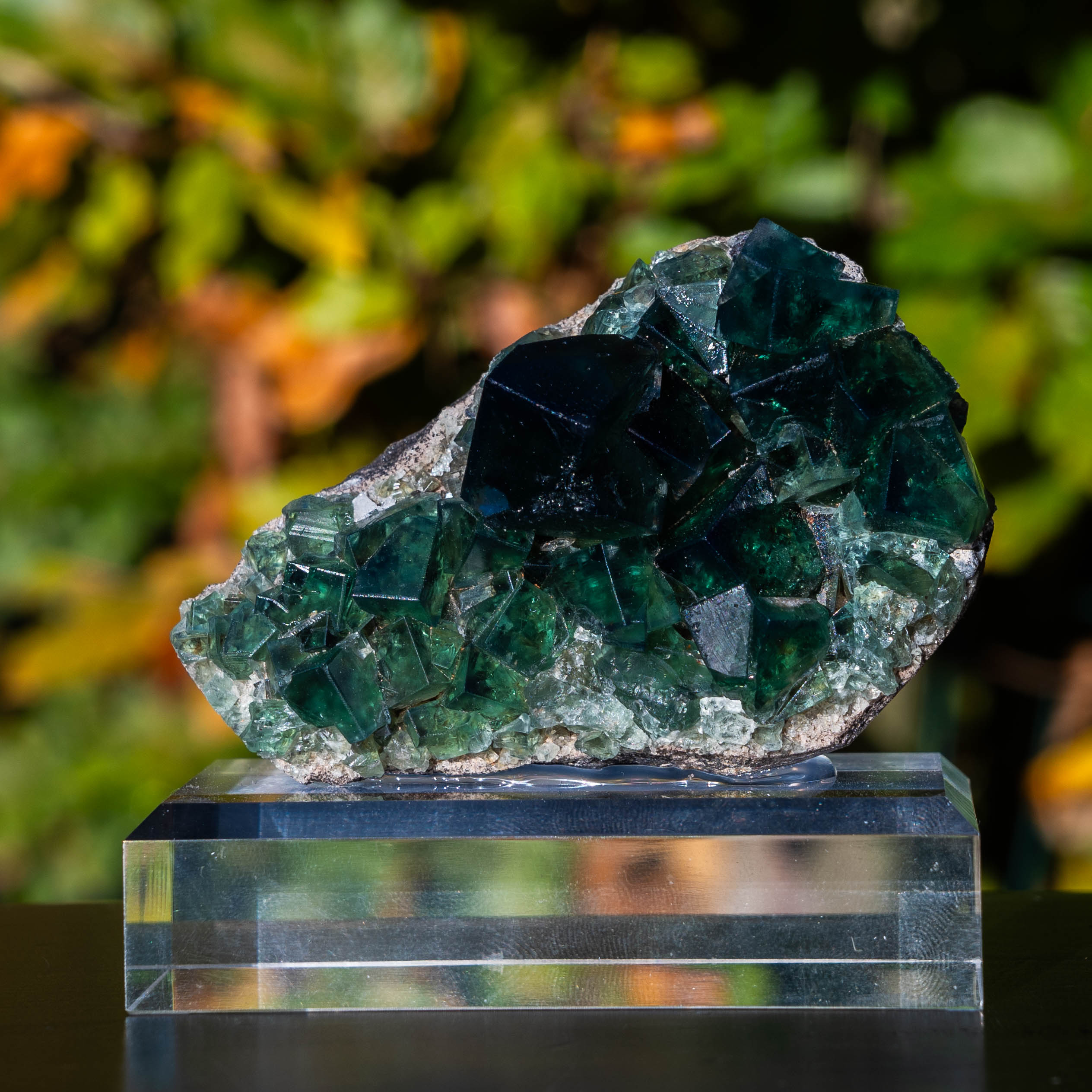 fluoriet pocket42 weardale