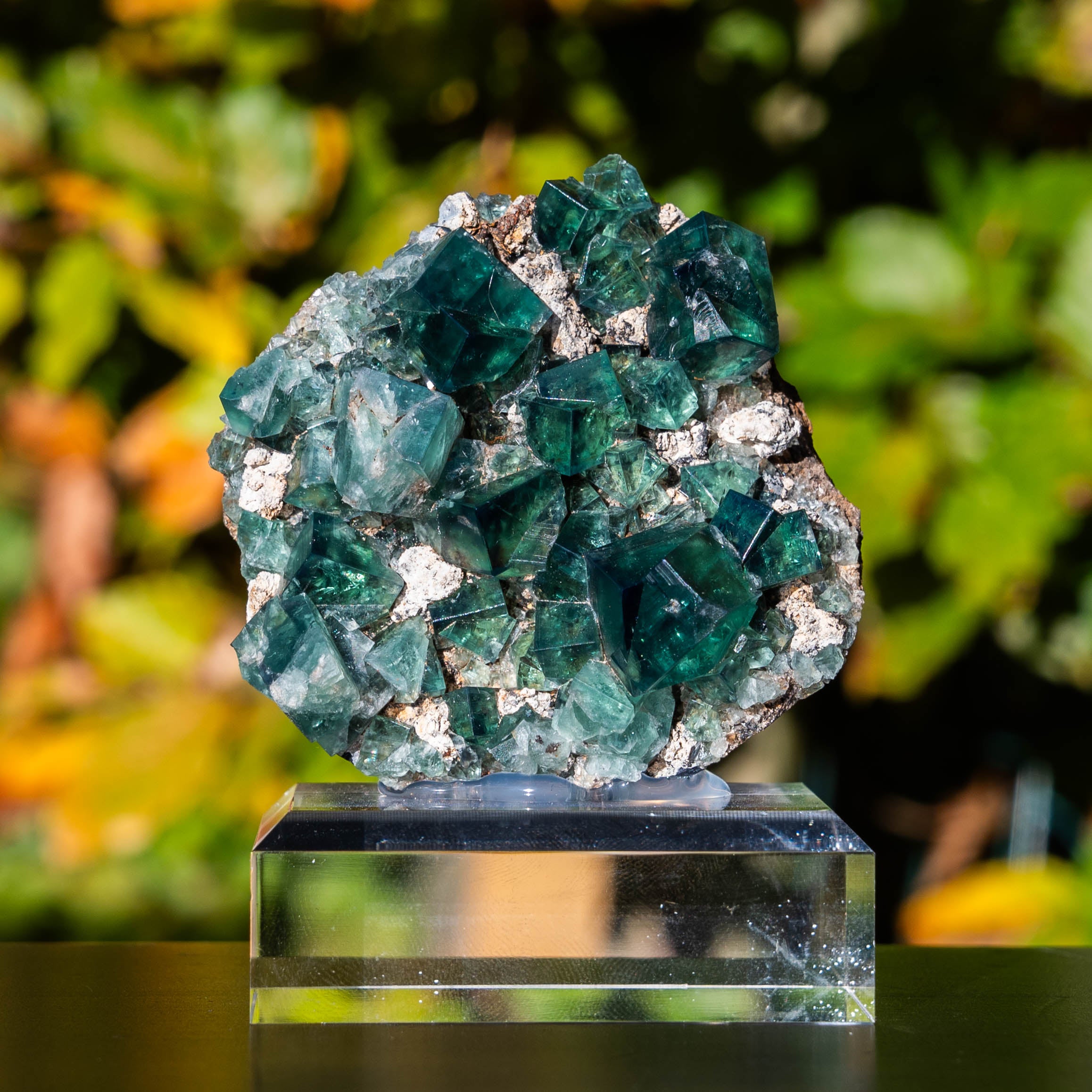 fluoriet weardale pocket 42