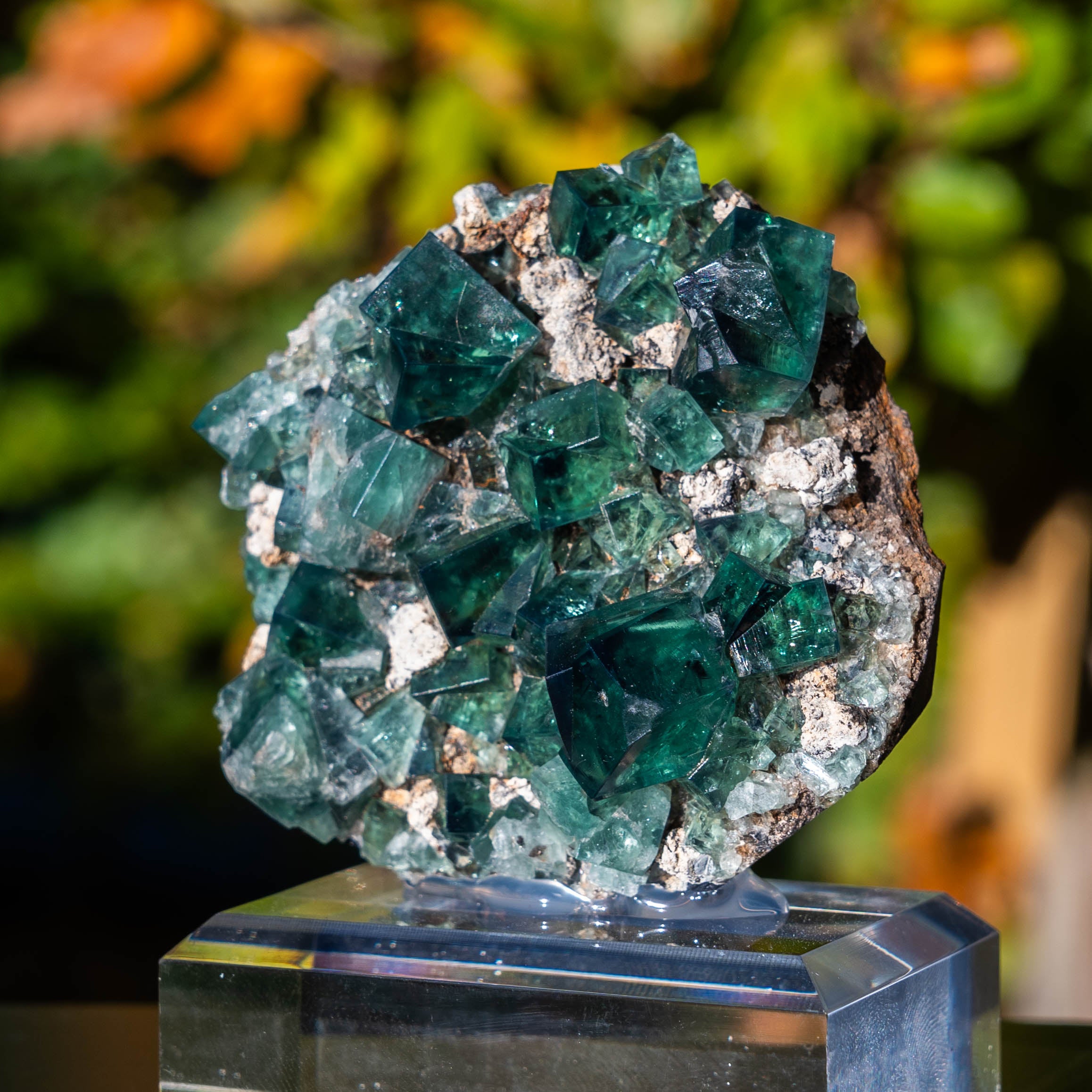 fluoriet weardale pocket 42