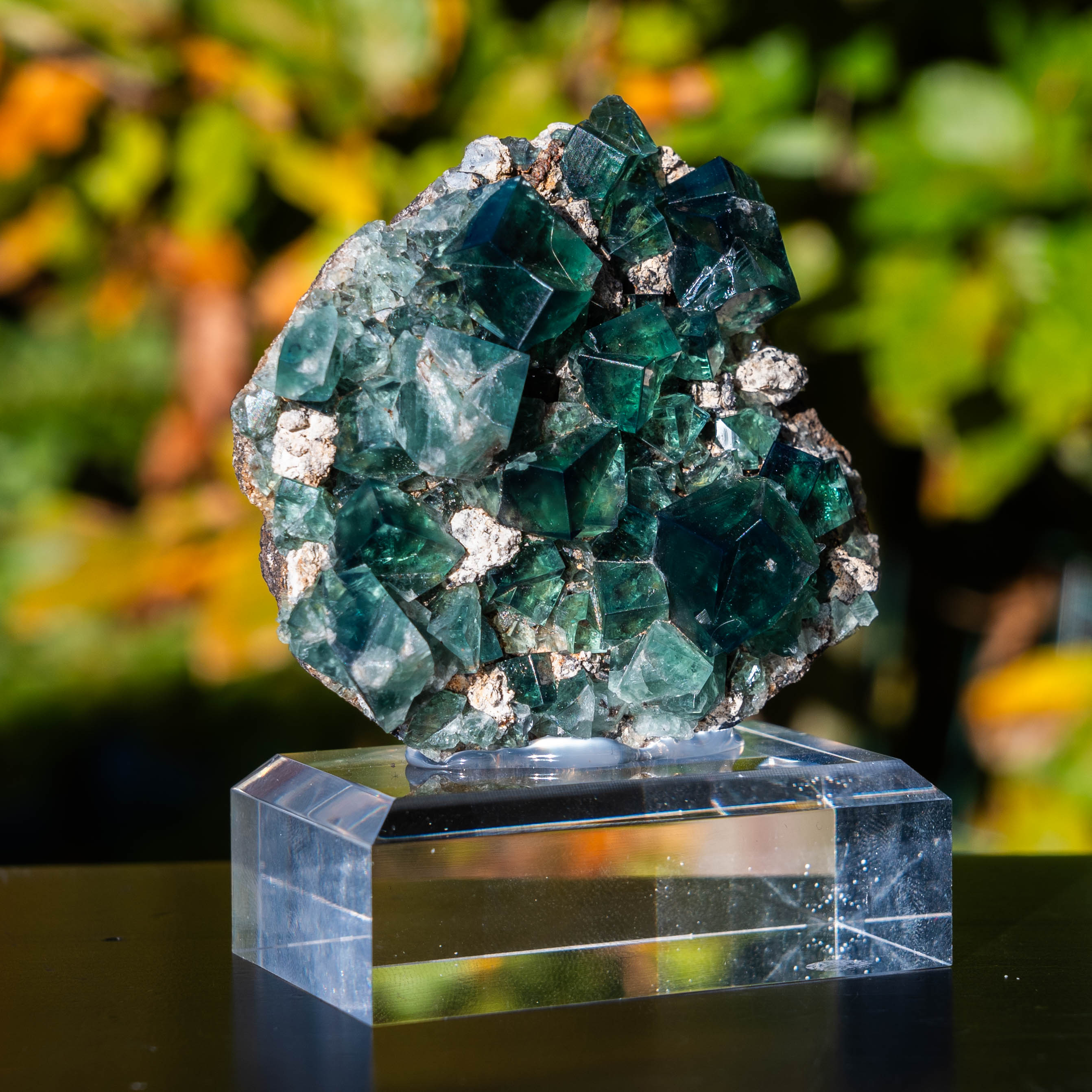 fluoriet weardale pocket 42