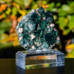 fluoriet weardale pocket 42