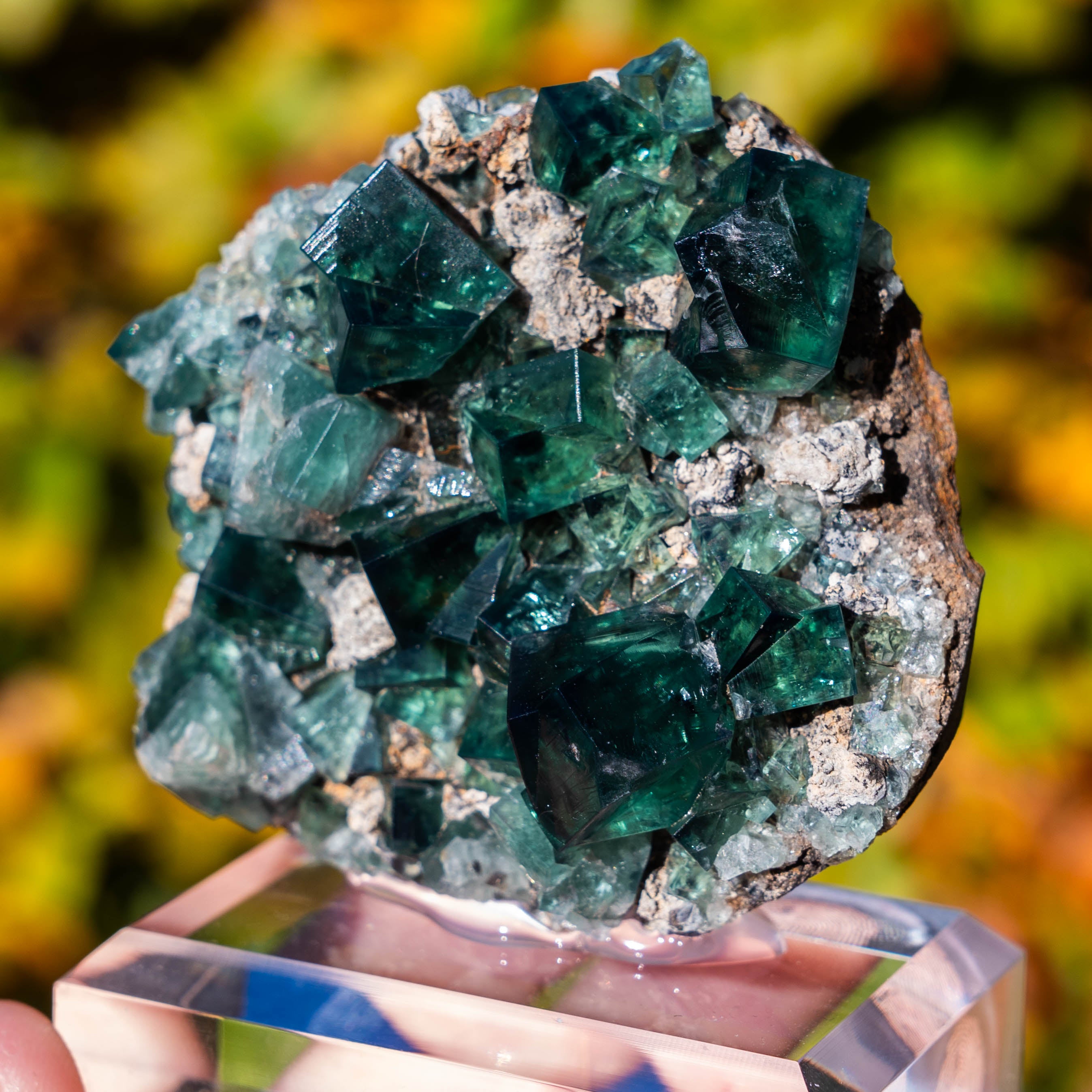 fluoriet weardale pocket 42