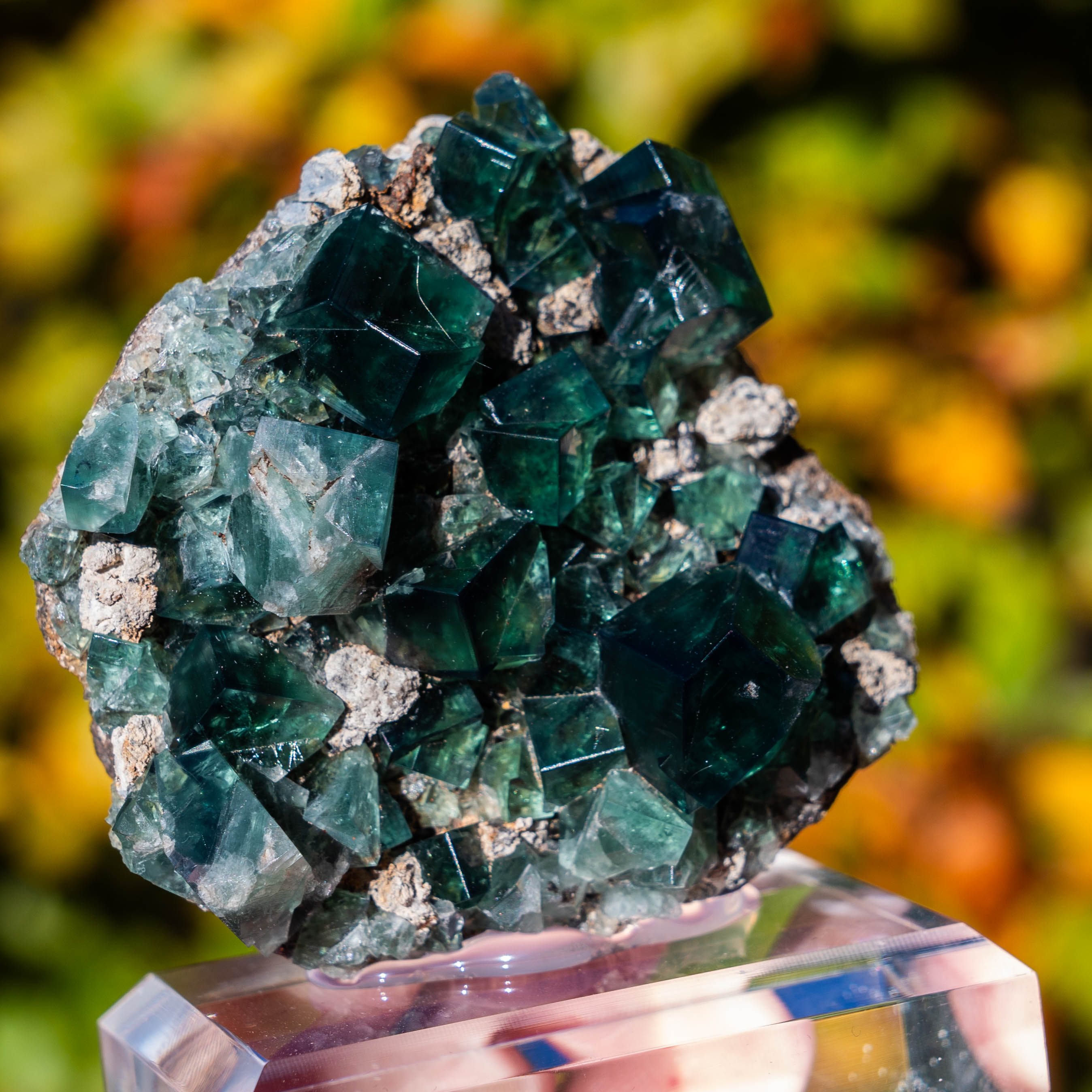 fluoriet weardale pocket 42