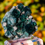 fluoriet weardale pocket 42