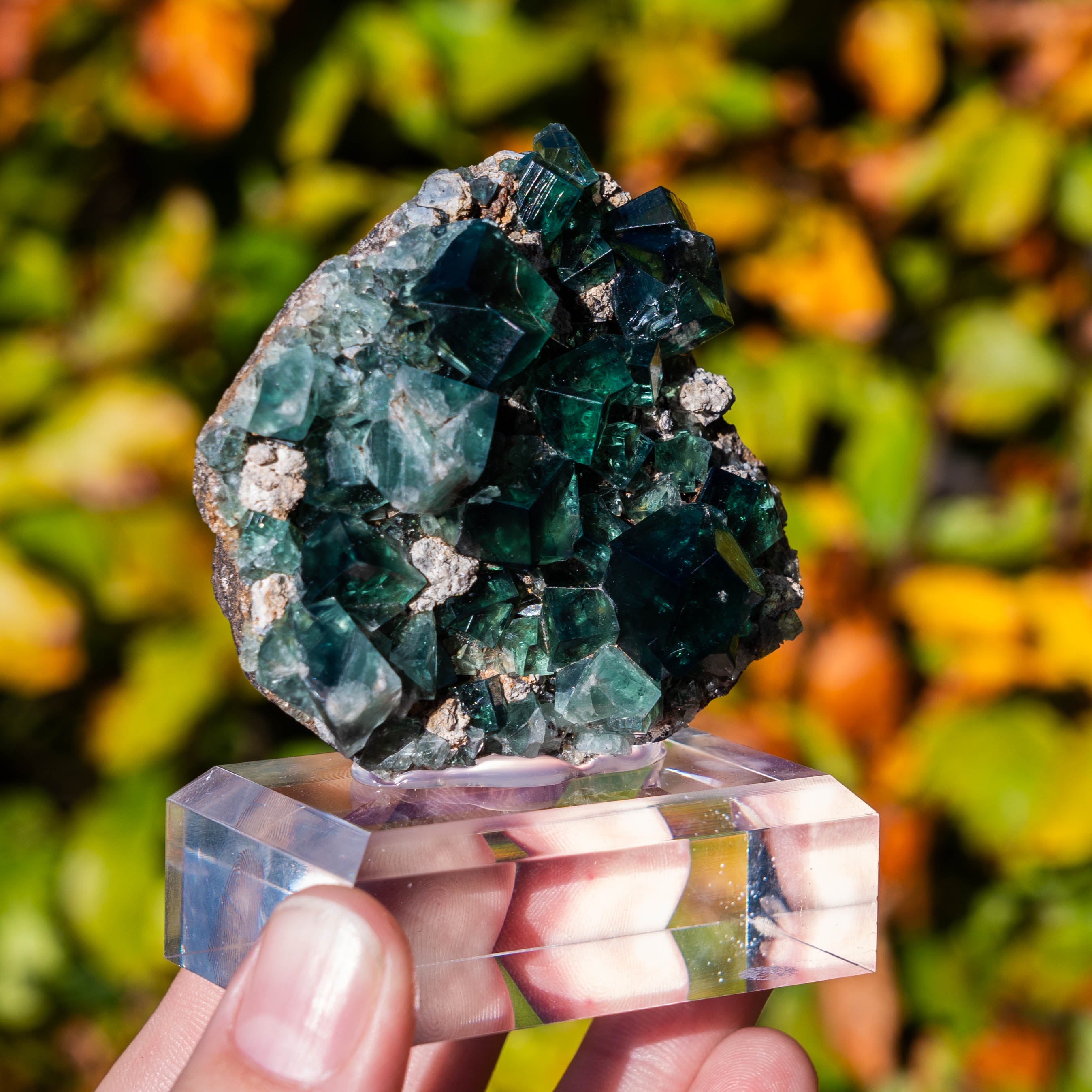 fluoriet weardale pocket 42