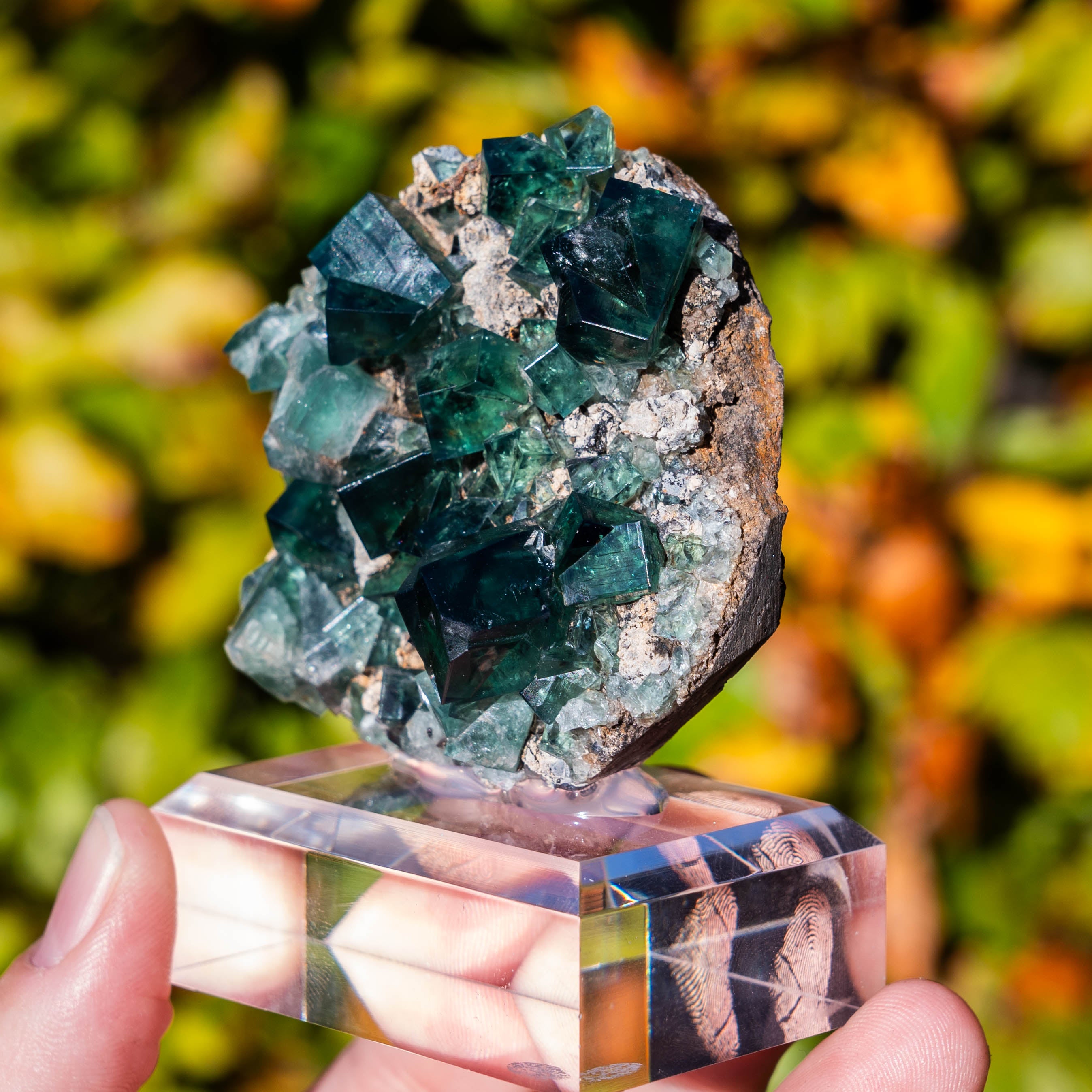 fluoriet weardale pocket 42