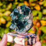 fluoriet weardale pocket 42