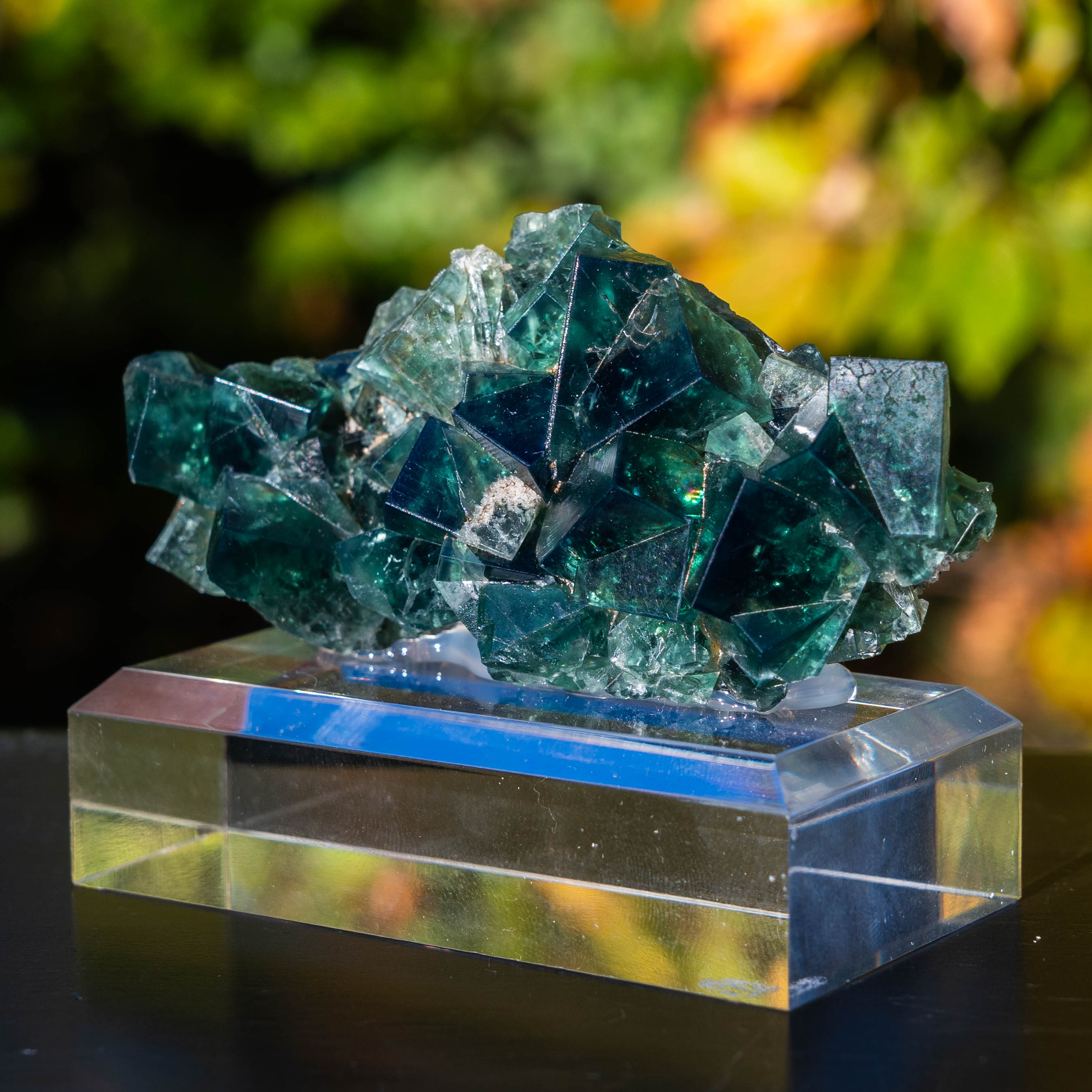 fluoriet weardale pocket42