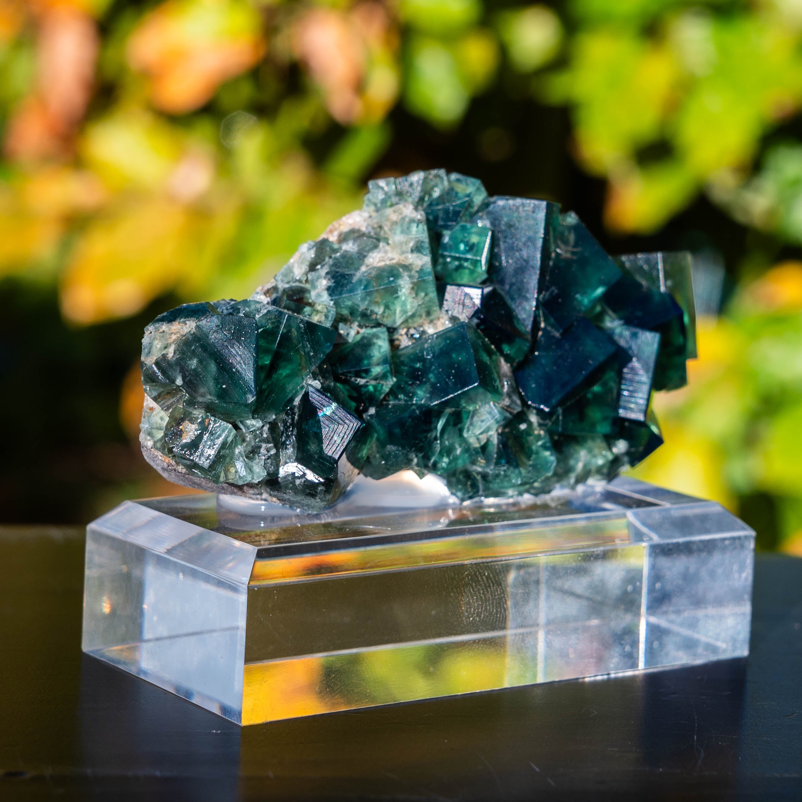 fluoriet weardale pocket42