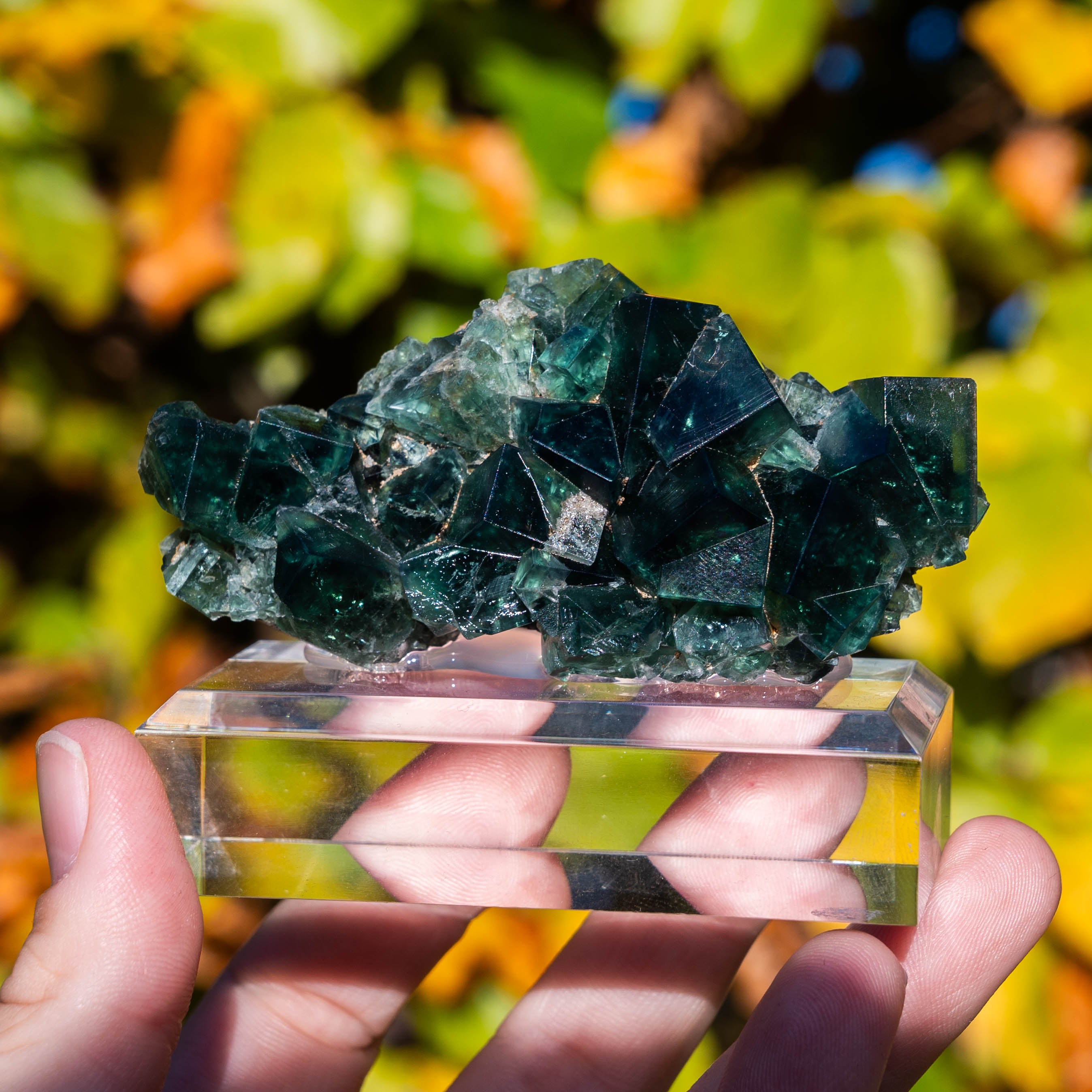 fluoriet weardale pocket42