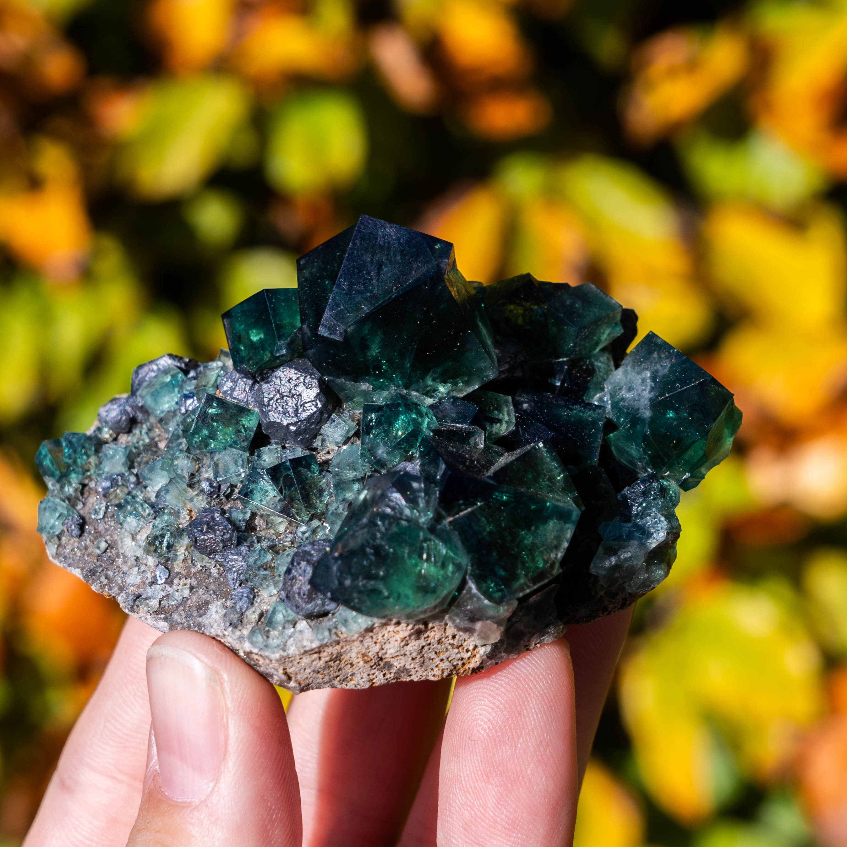 fluoriet pocket42 weardale