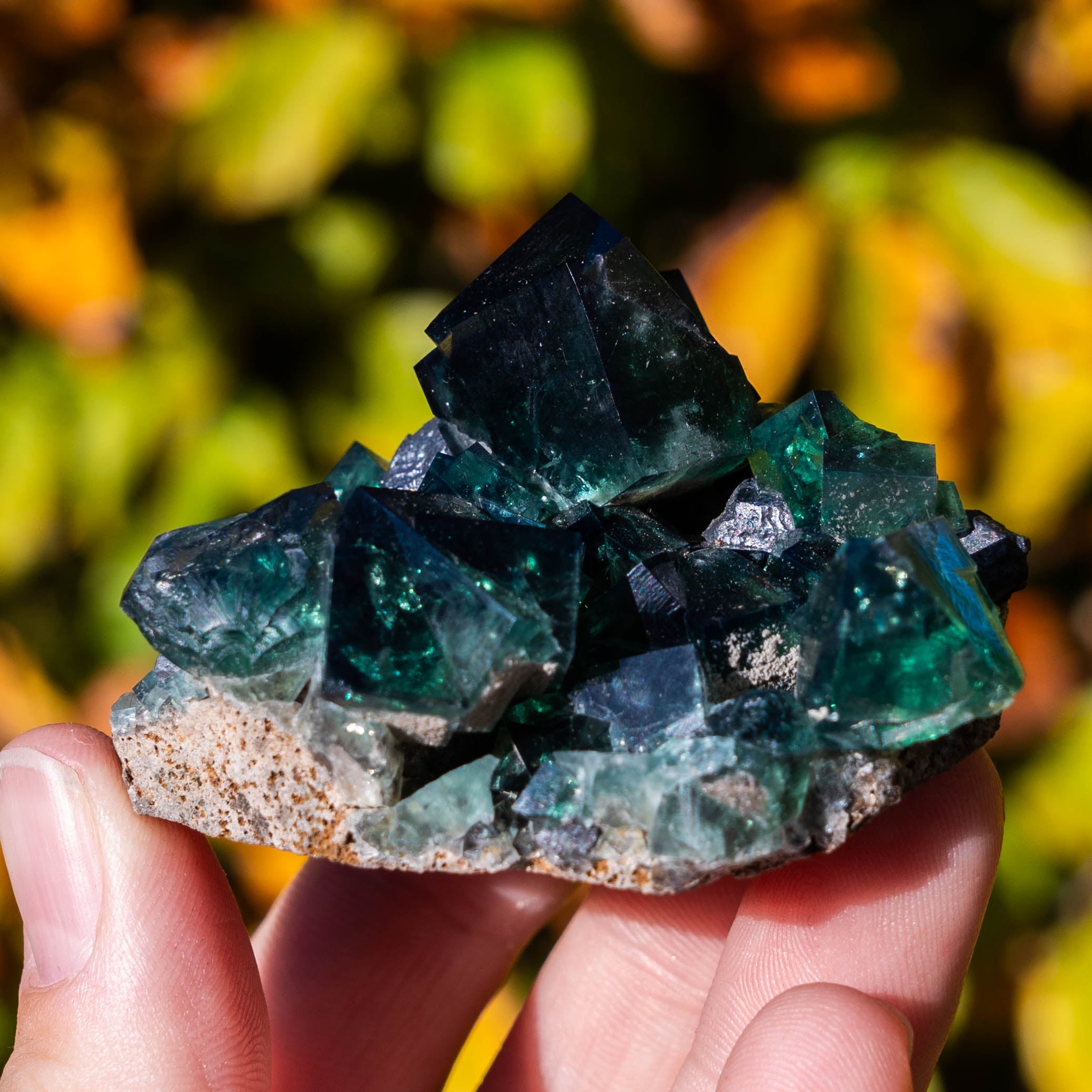 fluoriet pocket42 weardale