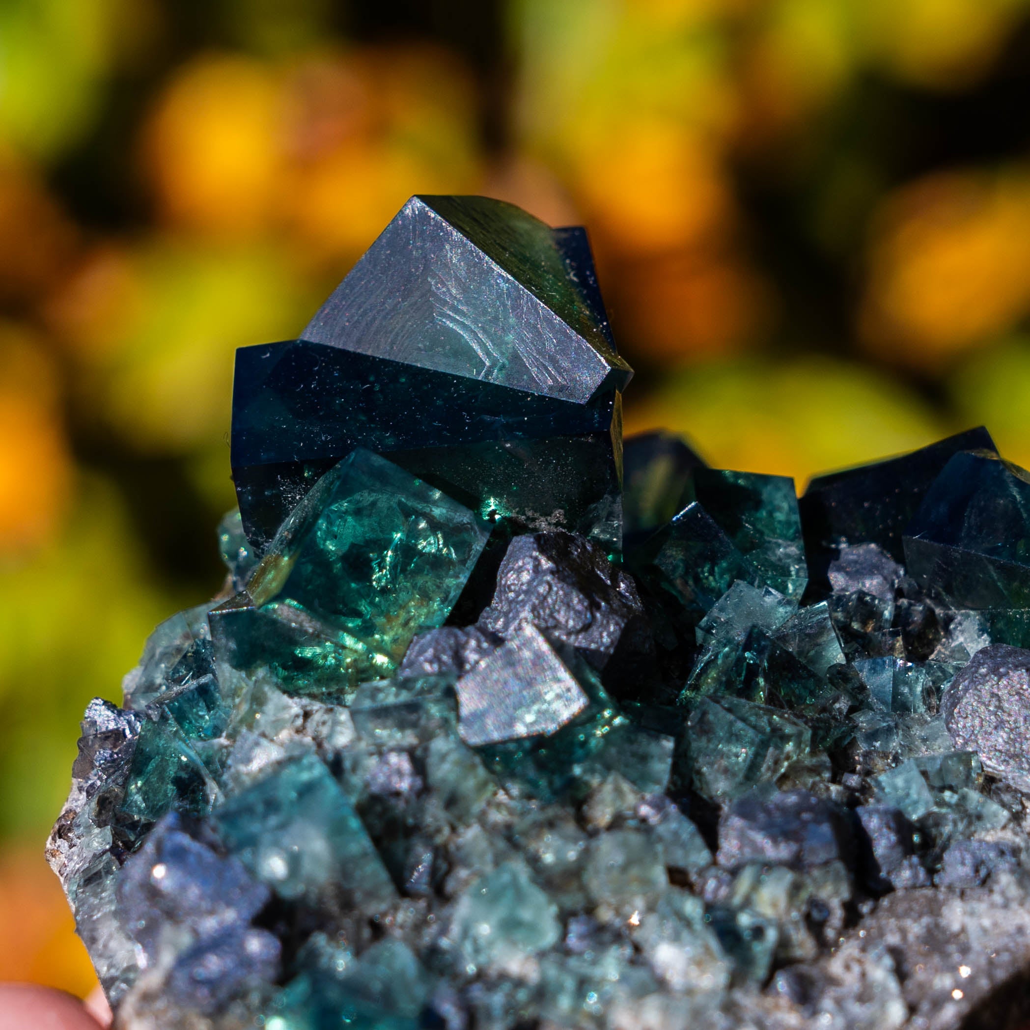 fluoriet pocket42 weardale