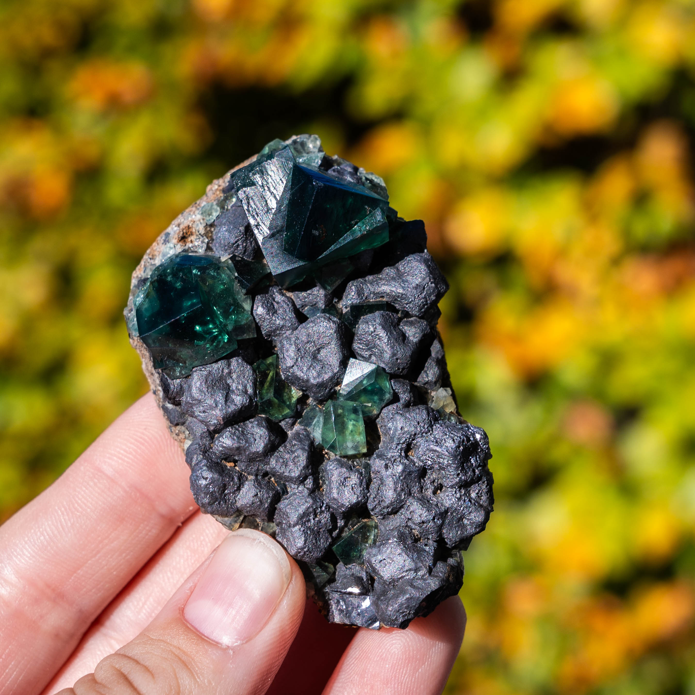 fluoriet galeniet weardale pocket42