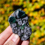 fluoriet galeniet weardale pocket42