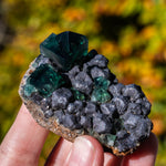 fluoriet galeniet weardale pocket42