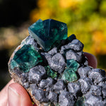 fluoriet galeniet weardale pocket42