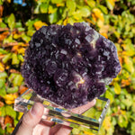 fluoriet anhui china