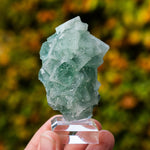 Suiker fluoriet cluster #9