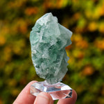 Suiker fluoriet cluster #9