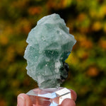 Suiker fluoriet cluster #9