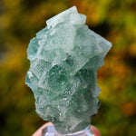 Suiker fluoriet cluster #9