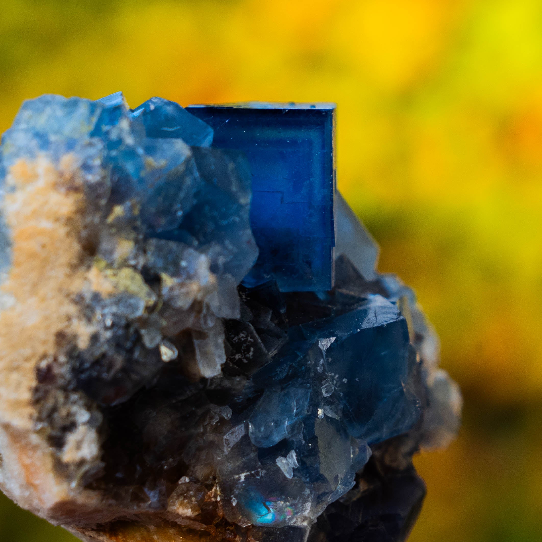 fluoriet Blanchard mine