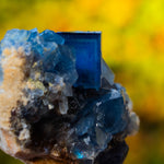 fluoriet Blanchard mine