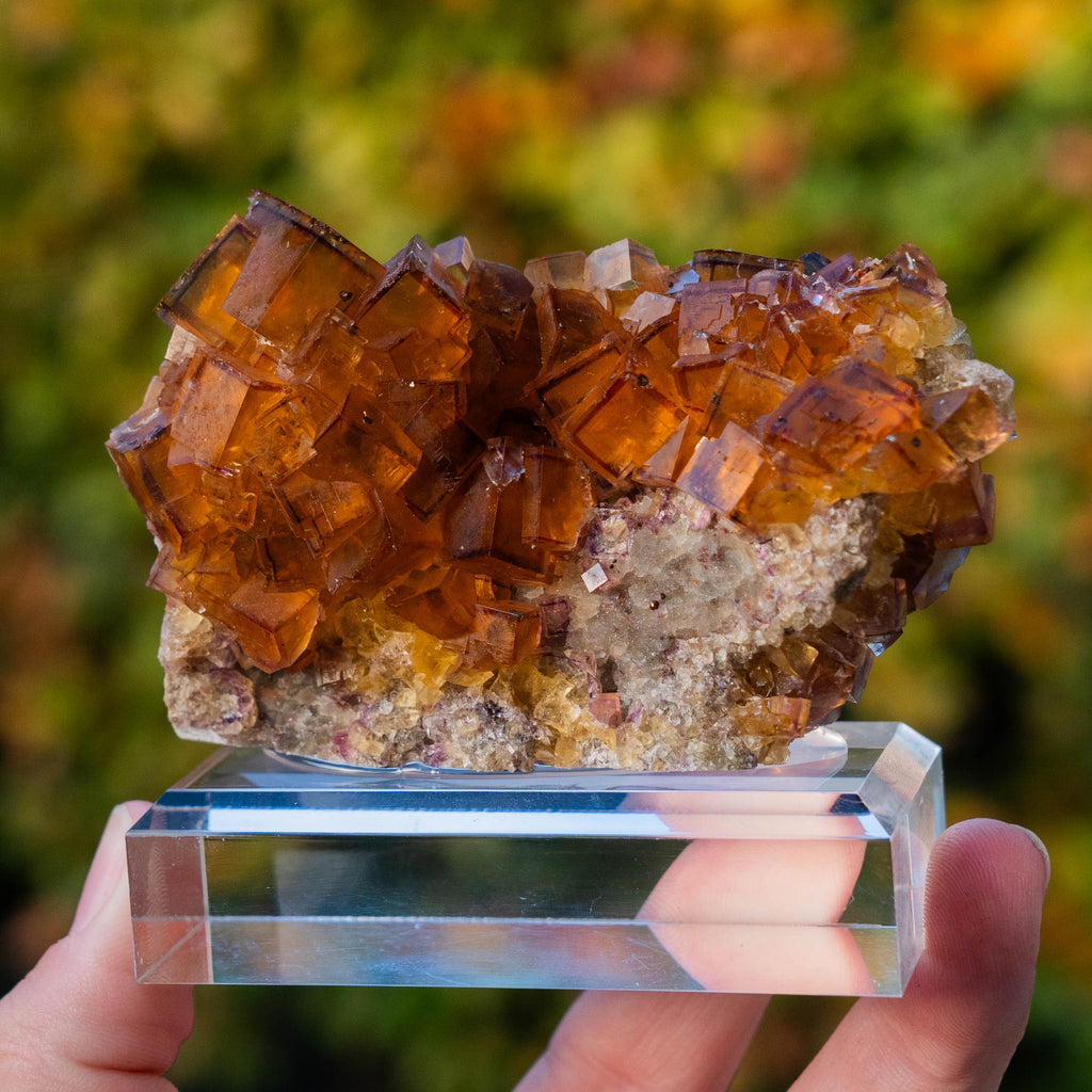 fluorite Bergmännisch Glück germany