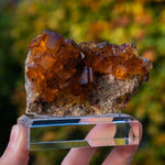 fluorite Bergmännisch Glück germany