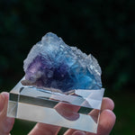 fluoriet minerva no.1 illinois