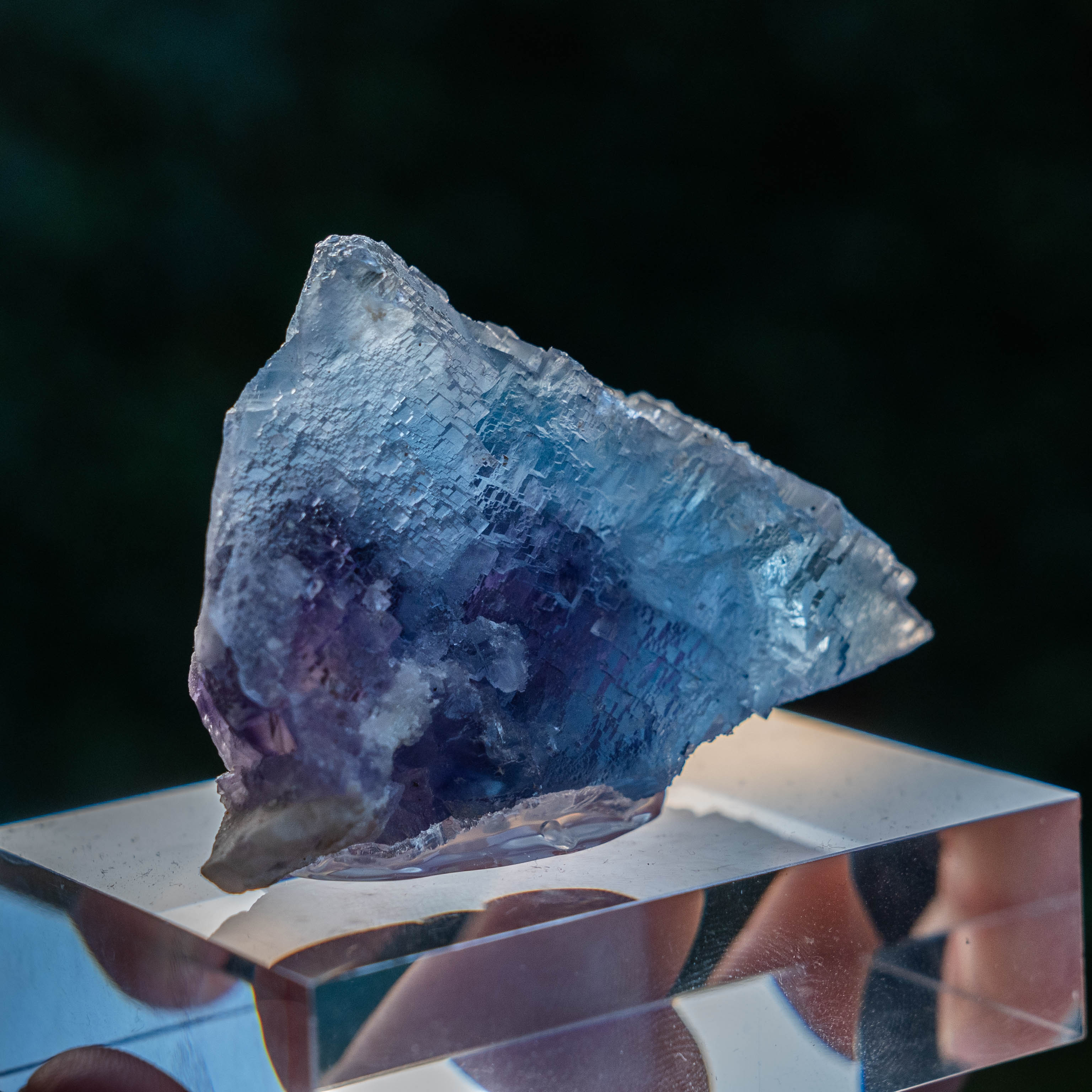 fluoriet minerva no.1 illinois