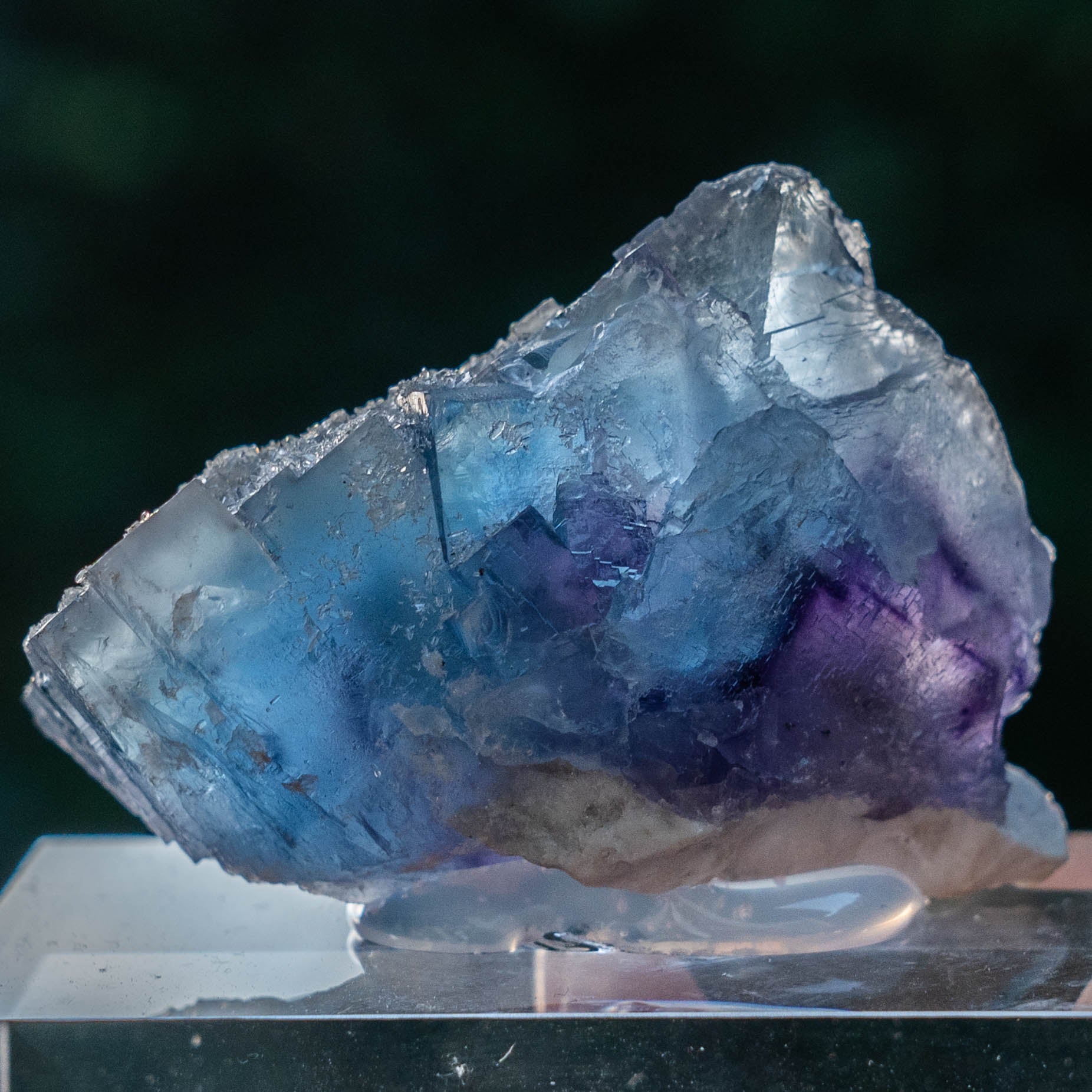 fluoriet minerva no.1 illinois