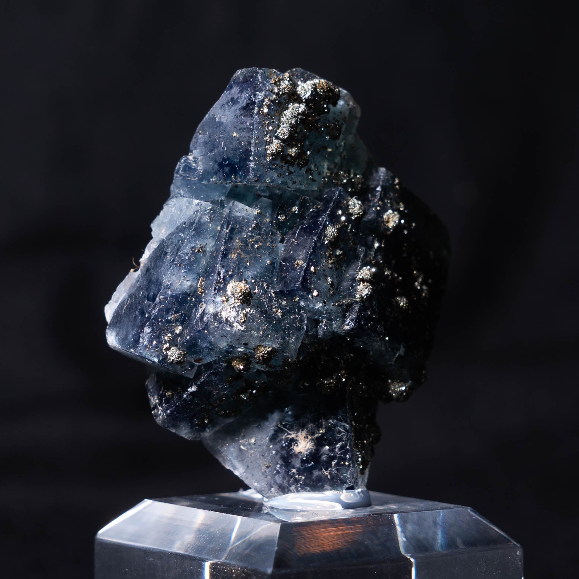 fluoriet jalingo nigeria